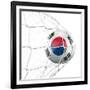 South Korean Soccer Ball in a Net-zentilia-Framed Art Print