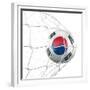 South Korean Soccer Ball in a Net-zentilia-Framed Premium Giclee Print