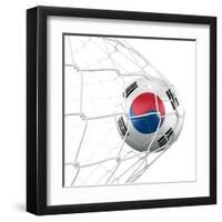 South Korean Soccer Ball in a Net-zentilia-Framed Art Print