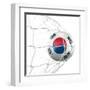 South Korean Soccer Ball in a Net-zentilia-Framed Art Print