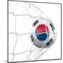 South Korean Soccer Ball in a Net-zentilia-Mounted Art Print