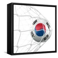 South Korean Soccer Ball in a Net-zentilia-Framed Stretched Canvas