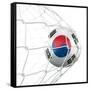 South Korean Soccer Ball in a Net-zentilia-Framed Stretched Canvas