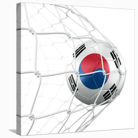 South Korean Soccer Ball in a Net-zentilia-Stretched Canvas