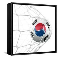 South Korean Soccer Ball in a Net-zentilia-Framed Stretched Canvas