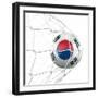 South Korean Soccer Ball in a Net-zentilia-Framed Art Print