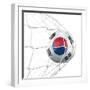 South Korean Soccer Ball in a Net-zentilia-Framed Art Print