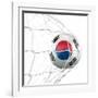 South Korean Soccer Ball in a Net-zentilia-Framed Art Print