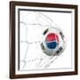 South Korean Soccer Ball in a Net-zentilia-Framed Art Print