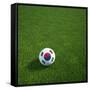 South Korean Soccerball Lying on Grass-zentilia-Framed Stretched Canvas