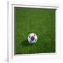 South Korean Soccerball Lying on Grass-zentilia-Framed Art Print