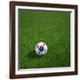 South Korean Soccerball Lying on Grass-zentilia-Framed Art Print