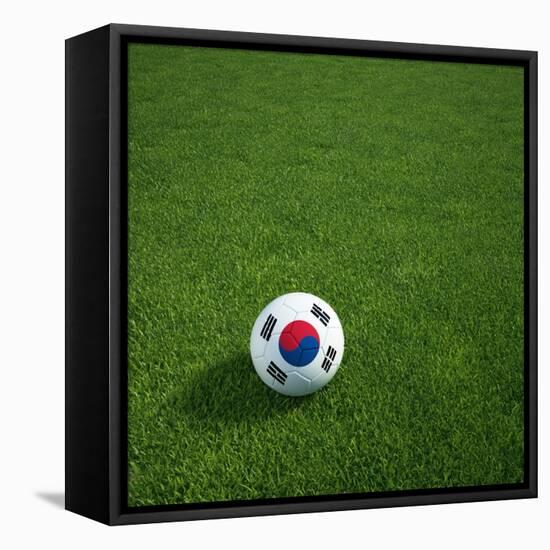 South Korean Soccerball Lying on Grass-zentilia-Framed Stretched Canvas