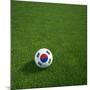 South Korean Soccerball Lying on Grass-zentilia-Mounted Art Print