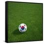 South Korean Soccerball Lying on Grass-zentilia-Framed Stretched Canvas