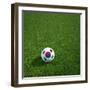 South Korean Soccerball Lying on Grass-zentilia-Framed Art Print