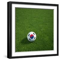 South Korean Soccerball Lying on Grass-zentilia-Framed Art Print