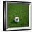 South Korean Soccerball Lying on Grass-zentilia-Framed Art Print