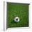 South Korean Soccerball Lying on Grass-zentilia-Framed Art Print