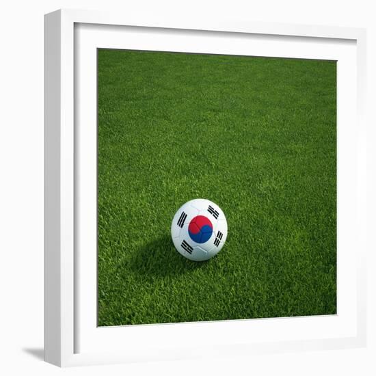 South Korean Soccerball Lying on Grass-zentilia-Framed Art Print