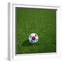 South Korean Soccerball Lying on Grass-zentilia-Framed Art Print