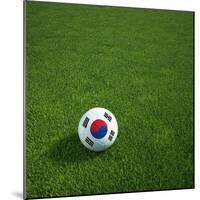 South Korean Soccerball Lying on Grass-zentilia-Mounted Art Print