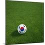 South Korean Soccerball Lying on Grass-zentilia-Mounted Art Print