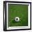 South Korean Soccerball Lying on Grass-zentilia-Framed Art Print