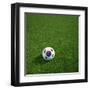 South Korean Soccerball Lying on Grass-zentilia-Framed Art Print