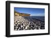 South Landing, Flamborough Head, East Riding of Yorkshire, England, United Kingdom, Europe-Mark Sunderland-Framed Photographic Print