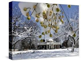South Lawn of Thomas Jefferson's Home Monticello-Steve Helber-Stretched Canvas