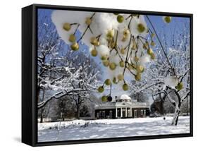 South Lawn of Thomas Jefferson's Home Monticello-Steve Helber-Framed Stretched Canvas