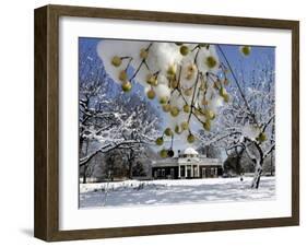 South Lawn of Thomas Jefferson's Home Monticello-Steve Helber-Framed Premium Photographic Print