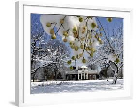 South Lawn of Thomas Jefferson's Home Monticello-Steve Helber-Framed Photographic Print