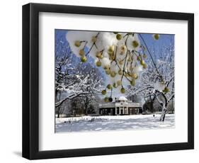 South Lawn of Thomas Jefferson's Home Monticello-Steve Helber-Framed Photographic Print