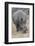 South Londolozi Private Game Reserve. Close-up of Rhinoceros Grazing-Fred Lord-Framed Photographic Print
