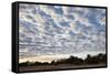 South Luwangwe National Park-Michele Westmorland-Framed Stretched Canvas