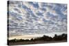 South Luwangwe National Park-Michele Westmorland-Stretched Canvas