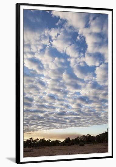 South Luwangwe National Park-Michele Westmorland-Framed Premium Photographic Print