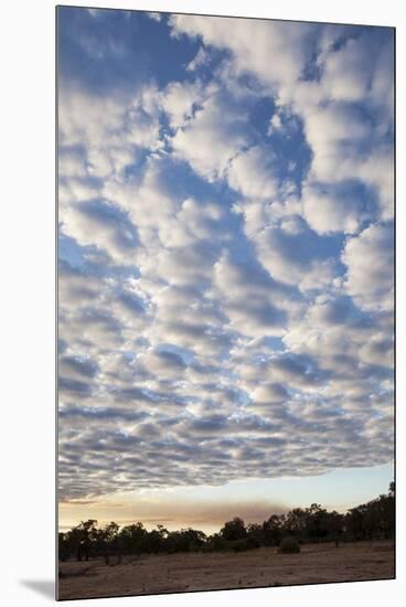 South Luwangwe National Park-Michele Westmorland-Mounted Premium Photographic Print