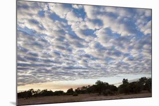 South Luwangwe National Park-Michele Westmorland-Mounted Photographic Print