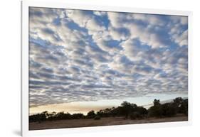 South Luwangwe National Park-Michele Westmorland-Framed Photographic Print
