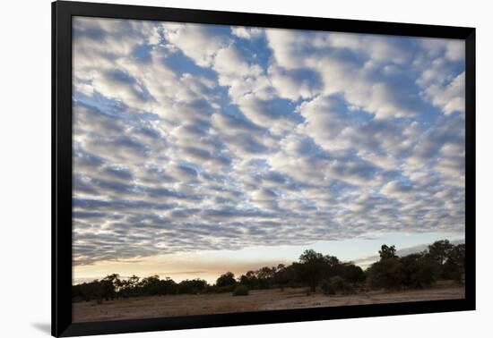 South Luwangwe National Park-Michele Westmorland-Framed Photographic Print