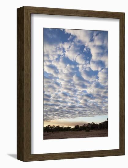 South Luwangwe National Park-Michele Westmorland-Framed Photographic Print