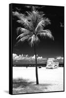 South Miami Beach Landscape with Life Guard Station - Florida - USA-Philippe Hugonnard-Framed Stretched Canvas