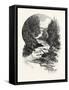 South Muskoka Falls, Canada, Nineteenth Century-null-Framed Stretched Canvas