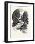 South Muskoka Falls, Canada, Nineteenth Century-null-Framed Giclee Print