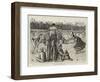 South of England Lawn Tennis Tournament at Devonshire Park, Eastbourne-null-Framed Giclee Print