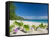 South Pacific, Fiji, Kadavu, Deserted Beach on the East Coast of Yaukuve Island-Paul Harris-Framed Stretched Canvas