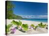 South Pacific, Fiji, Kadavu, Deserted Beach on the East Coast of Yaukuve Island-Paul Harris-Stretched Canvas